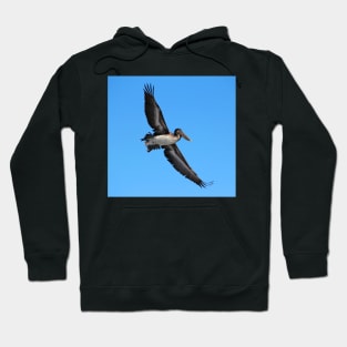 Pelican Flying High Hoodie